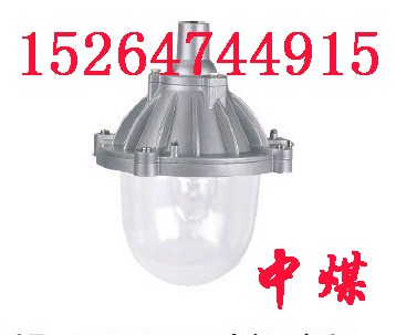 供应高频无极灯 无极灯